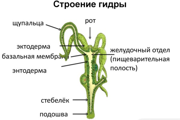 Кракен ссылка на сайт тор