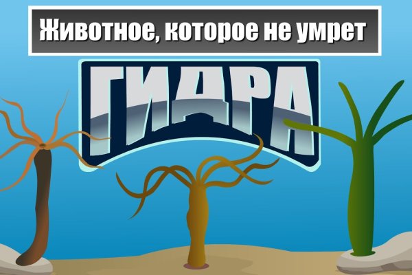 Kraken маркетплейс как зайти