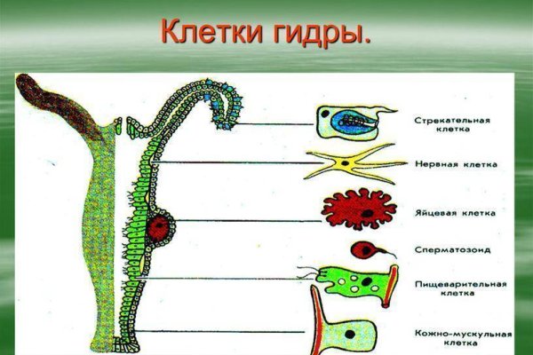 Регистрация на сайте кракен