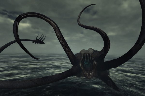 Kraken online