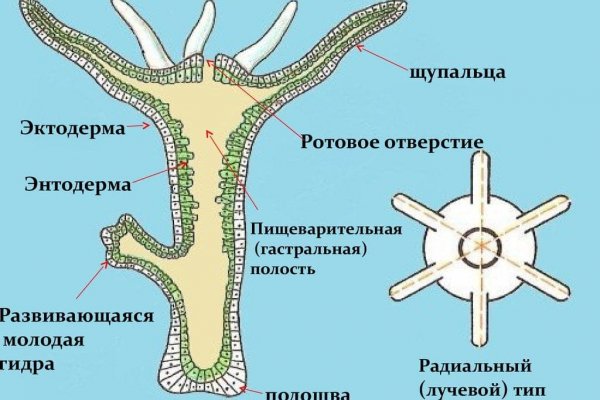 Кракен маркетплейс реклама текст
