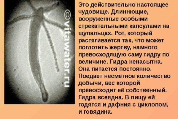 Ссылка на сайт кракен в тор браузере