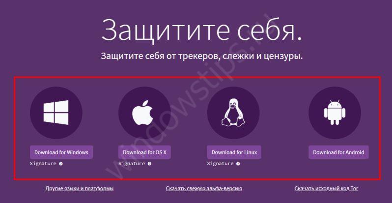 Кракен даркнет рабочая ссылка